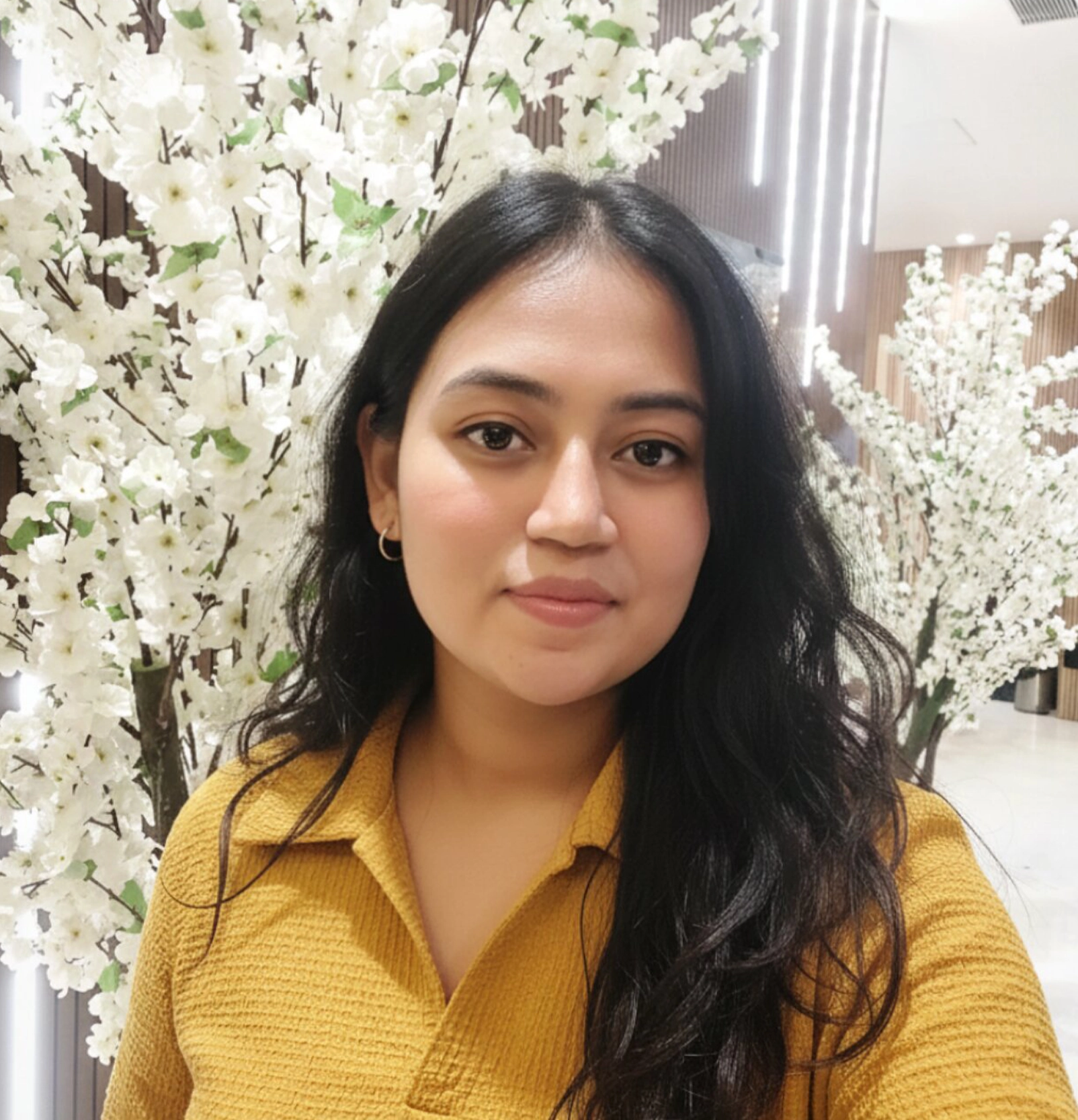 PenguinCube_Asha-Appachan